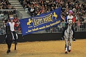 Pferd u Jagd   061